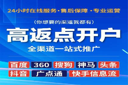 SEM广告投放的精准定位与优化案例